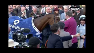 Emotional scenes as Honeysuckle returns to Cheltenham Winners Enclosure a hero for the final time