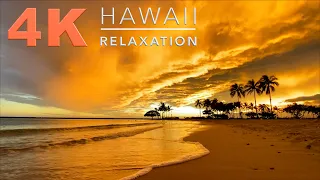 Красивый закат солнца музыка 🎧 Hawaii Sunset. Как избавиться от стресса Гавайи август 2020