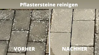 Pflastersteine reinigen  | Flechten, Moos & Schwarzalgen von Terrassen und Steinplatten entfernen