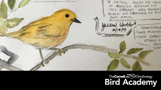 Nature Journaling—Student Drawings