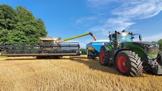 NEW CLAAS LEXION 8600 / Wheat Harvest Begins! / DRONE FOOTAGE