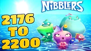 Rovio Nibblers Levels {2176 To 2200} No PowerUp Walkthrough