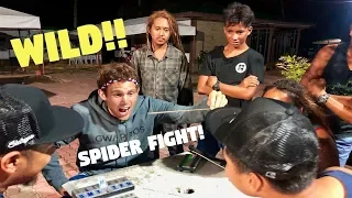 Filipino SPIDER FIGHTING Is Wild! (PHILIPPINES FUN)