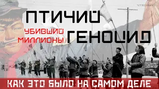 КАК В КИТАЕ УБИВАЛИ ВОРОБЬЕВ и ПОПЛАТИЛИСЬ за ЭТО - КАК ЭТО БЫЛО НА САМОМ ДЕЛЕ