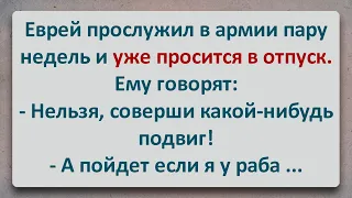 ✡️ Еврей в Армии! Еврейские Анекдоты! Анекдоты про Евреев! Выпуск #329