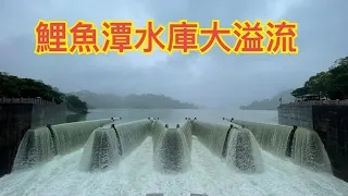 鯉魚潭水庫有史以來大溢洪！！