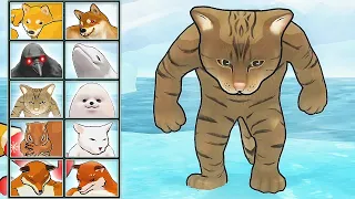 Fight of Animals: Walking Cat (Cat vs Dog vs Fox) | Eftsei Gaming