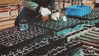 Tesga Battery Factory in China