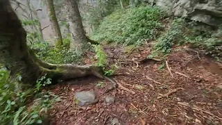 Hiking past Grotto Falls to Brushy Mountain Trillium Gap Trail Great Smoky Mountains Gatlinburg TN