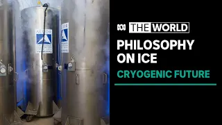 Chinese philosopher cryogenically freezes his brain in Arizona | The World