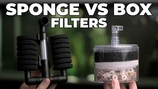 Box Filters Vs Sponge Filters! Which One Is Better?
