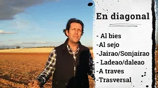 Pistacho | Nueva plantación de pistachos 2023 | Parte 1ª - Proyección y Ejecución  🌿