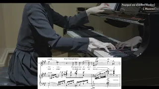 Pourquoi me réveiller? "Werther" - J.Massenet / piano accompaniment /  피아노반주 / 성악/ Tenor / karaoke