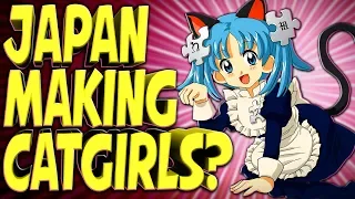 Japan Has Approved the First Step To Real Catgirls - TechNewsDay