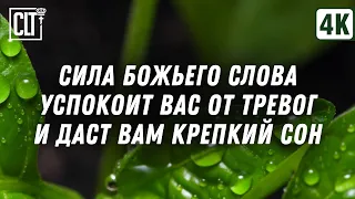 Сила Божьего Слова успокоит вас от тревог и даст вам крепкий сон | Озеро | Звук дождя | Relaxing