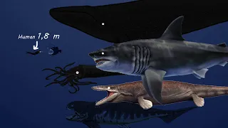 Prehistoric Sea Monsters Animated (Size + Weight Comparison)