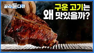 잘 구운 고기가 맛있는 과학적 이유┃모든 음식 요리법의 기본 ‘열’┃요리의 과학┃다큐프라임┃#골라듄다큐