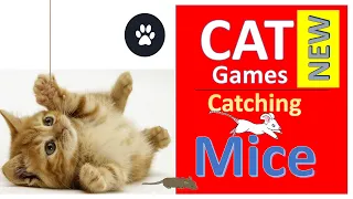 Cat Games - hunting mice, worm, strings, and etc.! Cool Entertainment Video for My Cats to Watch.