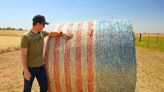 The most beautiful HAY BALES you'll ever see!