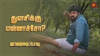 அழுது புலம்பும் ராஜபாண்டி! | Vanathai Pola - Semma Scene | 26 Jan 2024 | Sun TV