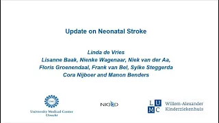 Update on Neonatal Stroke