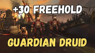 Guardian Druid M+ 30 Freehold | Fort Storming Bursting | We Finally Didn't Pull 120%
