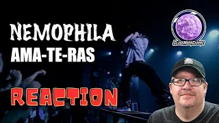 Nemophila - Ama Te Ras (Reaction) | Official Live Video