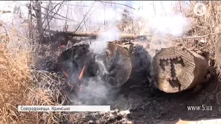 Кримське: окупанти намагаються "викурити" бійців АТО