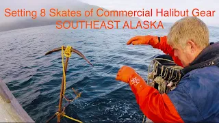 Setting Commercial Halibut Fishing Gear