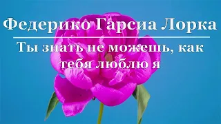 Федерико Гарсиа Лорка - Ты знать не можешь, как тебя люблю я