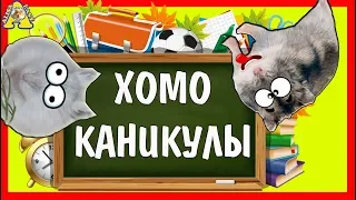 ХОМО ШКОЛА - КАНИКУЛЫ👍😜  Magic ПЛАНЫ Fanny на КАНИКУЛЫ 🏄‍♀️ /АЛИСА ИЗИ