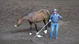 The Scenes Behind the Scenes - Dan James - Night of the Horse 2018 - Del Mar National Horse Show