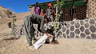 Rural life in Iran.  Children eat Berko bread with great appetite next to the wood stove #video