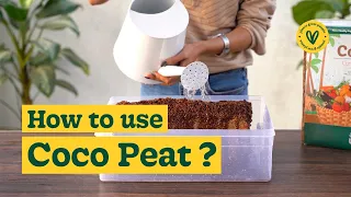 How to Use CocoPeat for Plant Growth | A Step-by-Step Guide | Ugaoo