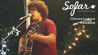 Dromedarios Mágicos - Fuimos | Sofar Mexico City