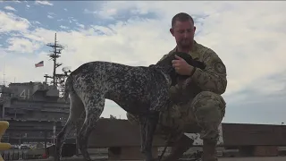 San Diego U.S. Coast Guard K-9 finalist in American Hero Dog Awards