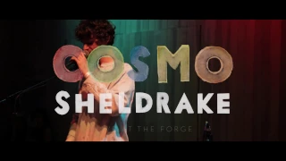 Cosmo Sheldrake - Live Improv in London - Track 3