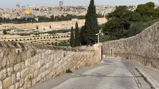 Recorriendo el lugar por donde Jesús entró a Jerusalén el Domingo de Ramos