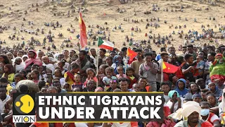 Ethiopia: Ethiopian police detains ethnic Tigrayans on suspicion | WION News | World English News
