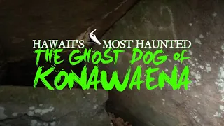 Hawaii's Most Haunted - The Ghost Dog of Konawaena