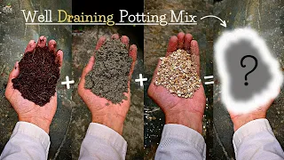 How to make a Well Draining Potting Mix for Plants? (7 Soil Amendments*)