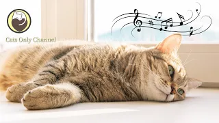 Soothing Music to Relax and Calm Cats - Deep Relaxation Music