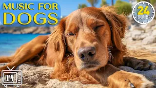 24 Hours of Deep Anti Anxiety Music for Dog: Sleep Music & Calming Stress Relief with Dogs Music