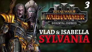 BLOODY THEIR BEARDS | Immortal Empires - Total War: Warhammer 3 - Vampire Counts - Vlad #3