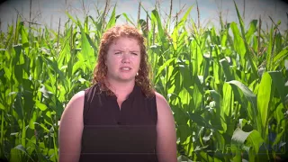 WBDC - Refining Corn Grazing Recommendations - 3 vs 9 d