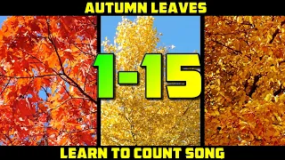 LEARN TO COUNT 1-15 SONG | Autumn counting song for kids