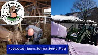 FarmVLOG#50 - Hochwasser, Sturm, Regen, Schnee und Sonne