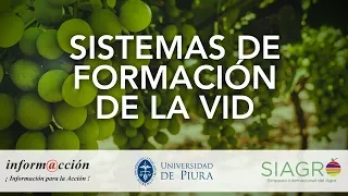 2.4 Sistemas de Formación de la Vid