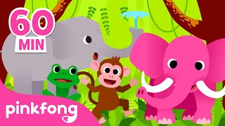 Nama nama hewan dan suara hewan | Kumpulan Lagu Binatang | Pinkfong Baby Shark Indonesia