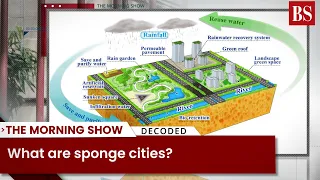 What are sponge cities?